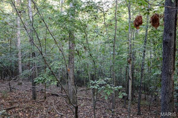 0 Tanglewood, Poplar Bluff, MO 63901