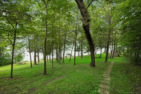 15704 109th ST NW, South Haven, MN 55382