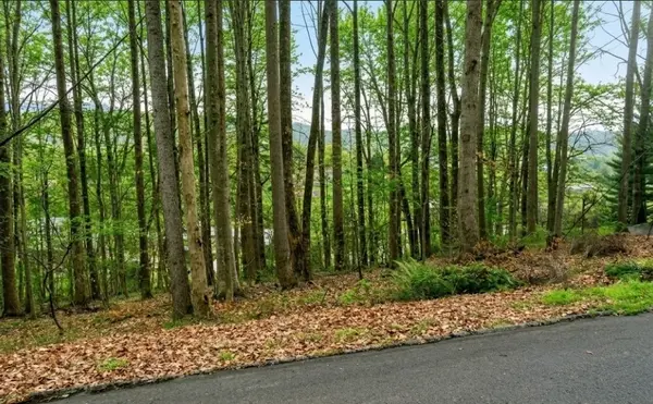 0 Carlton Rd, Bristol, TN 37620