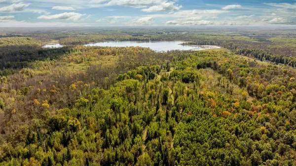 384 Acres TBD Little Pine RD, Emily, MN 56447