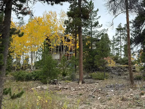 1351 Lump Gulch, Black Hawk, CO 80422