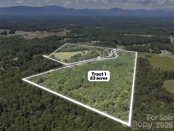2125 Whiteside RD, Mill Spring, NC 28756