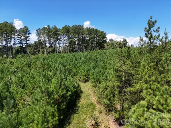 2125 Whiteside RD, Mill Spring, NC 28756