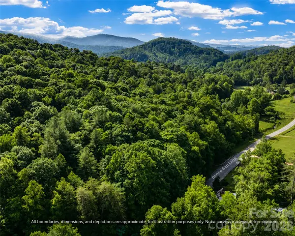 99999 Boone Gap LN, Taylorsville, NC 28681