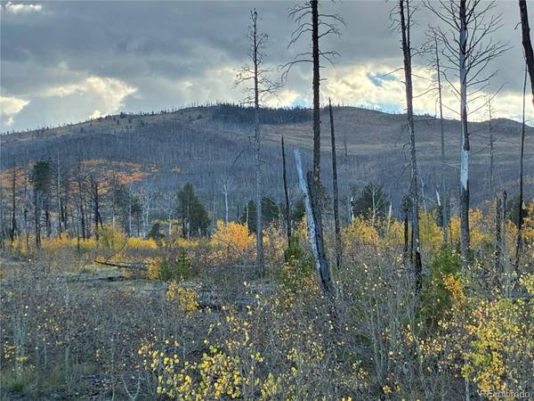 1368 Kings, Fort Garland, CO 81133
