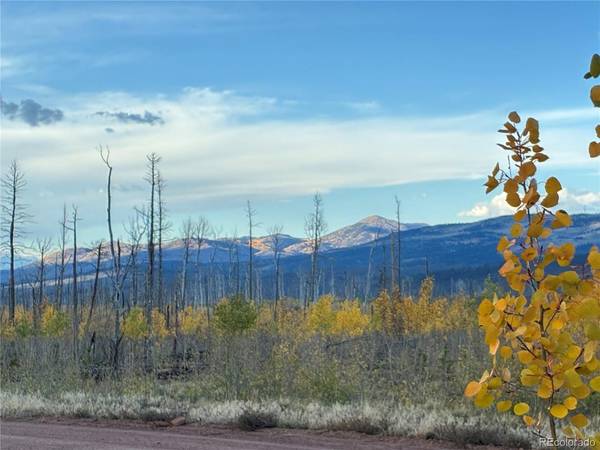 1368 Kings, Fort Garland, CO 81133