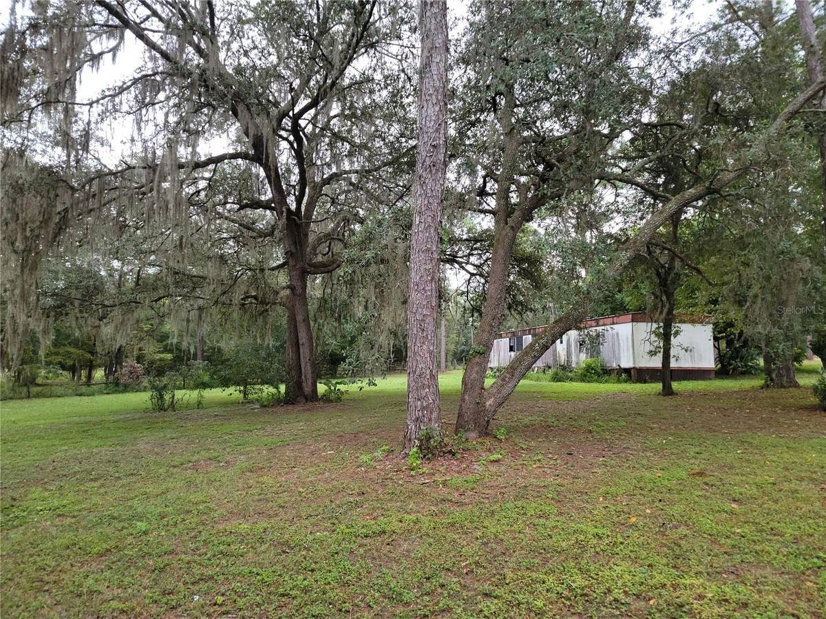 12231 NE 64 PL, Williston, FL 32696