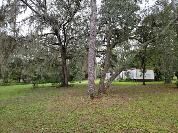 12231 NE 64 PL, Williston, FL 32696