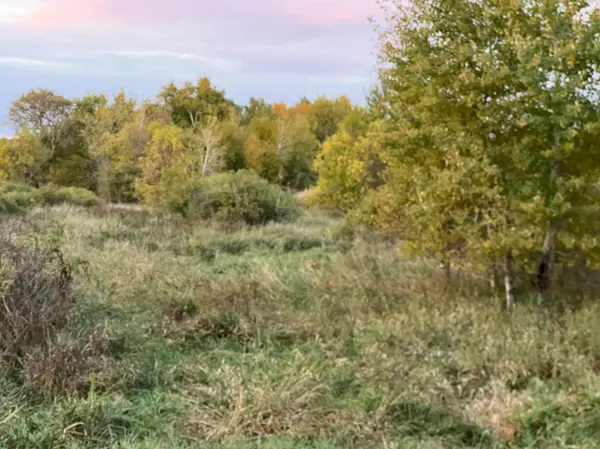 000 Holly Rd, Pine City, MN 55063