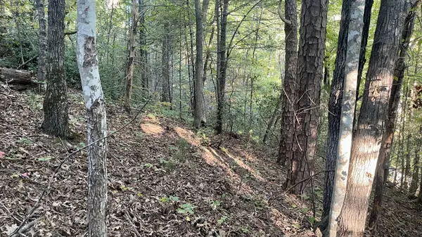 8 Berry Clark Drive, Gatlinburg, TN 37738