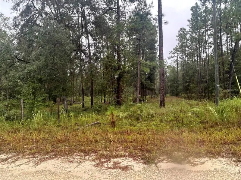 TBD NE 111TH LN, Bronson, FL 32621