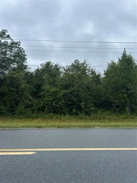 TBD NE 80TH AVE, Bronson, FL 32621