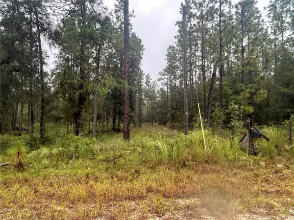 TBD NE 111TH LN, Bronson, FL 32621