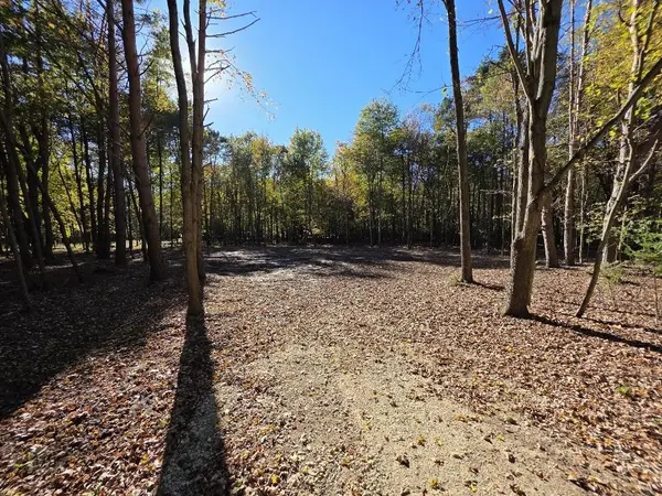 COUNTY RD W #21, Wild Rose, WI 54984