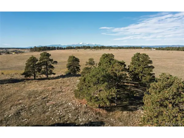Walker, Colorado Springs, CO 80908