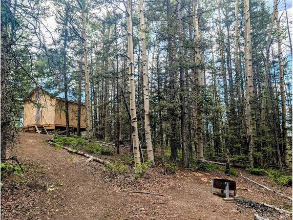 8 Phillips, Fort Garland, CO 81133