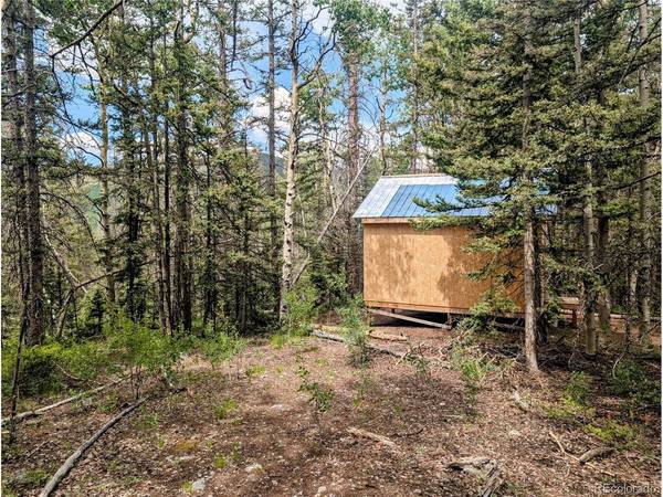 8 Phillips, Fort Garland, CO 81133