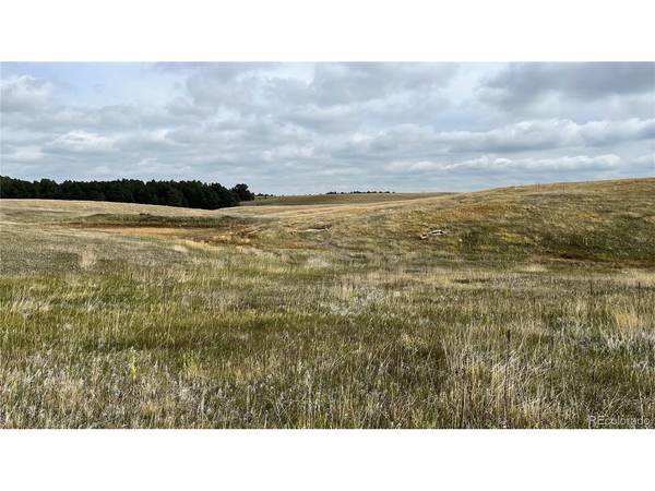 Walker, Colorado Springs, CO 80908