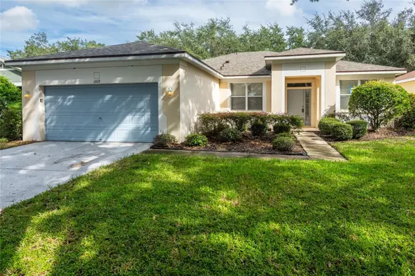 11112 HOLLY CONE DR, Riverview, FL 33569
