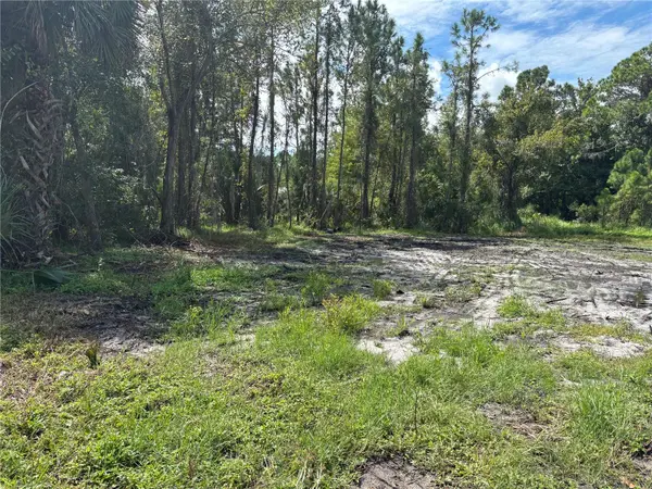864 RASLEY RD, New Smyrna Beach, FL 32168