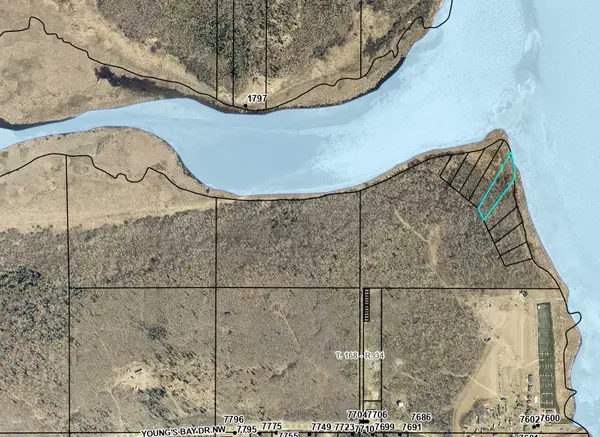 n/a Youngs Bay Drive, Angle Inlet, MN 56711