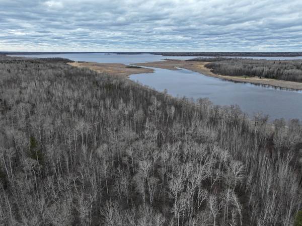 050 Youngs Bay Drive, Angle Inlet, MN 56711
