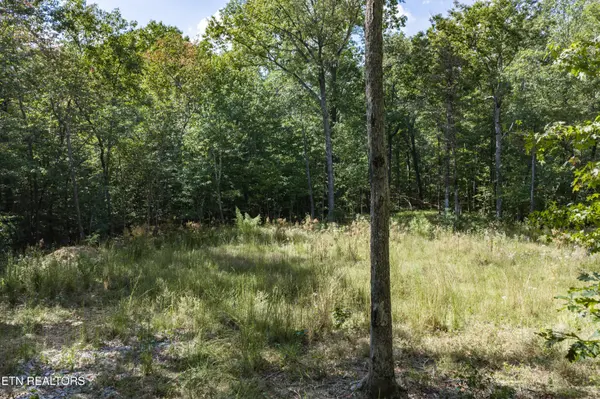 1426 E Overlook Rd, Monterey, TN 38574