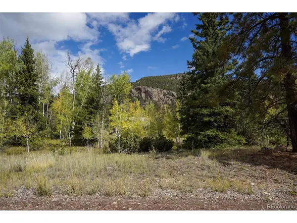 48 Deer Park, Antonito, CO 81120