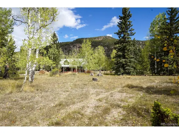 48 Deer Park, Antonito, CO 81120