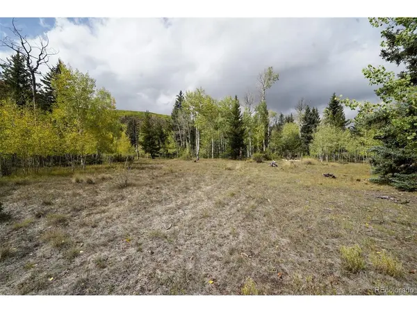 48 Deer Park, Antonito, CO 81120