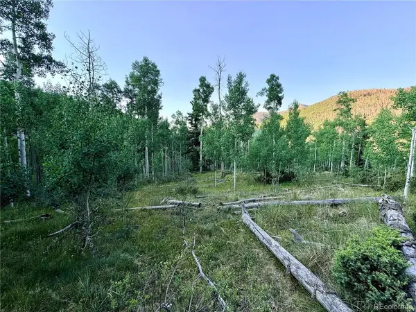 3 Cooper Jury Ln Tract 3 & 4, Antonito, CO 81120