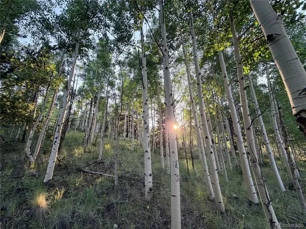 3 Cooper Jury Ln Tract 3 & 4, Antonito, CO 81120
