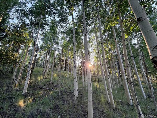 3 Cooper Jury Ln Tract 3 & 4, Antonito, CO 81120