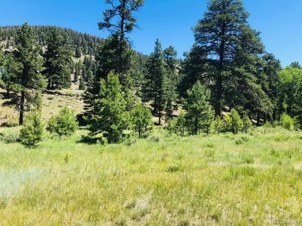151 Wagon Train, Antonito, CO 81120