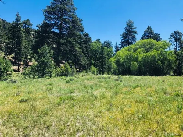 151 Wagon Train, Antonito, CO 81120