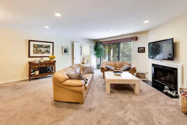 3 The Court Of Harborside CT #208, Northbrook, IL 60062