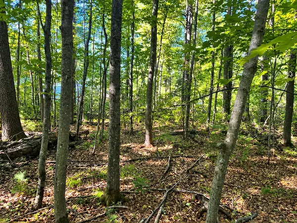Lot 1 & 2 Bluegill AVE N, Webster, WI 54893