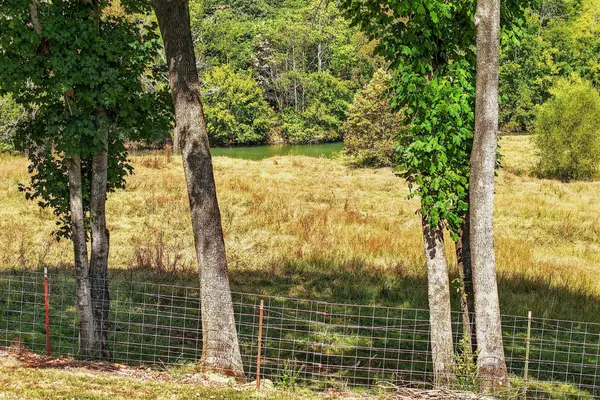 787 Blue Springs Rd, Sparta, TN 38583