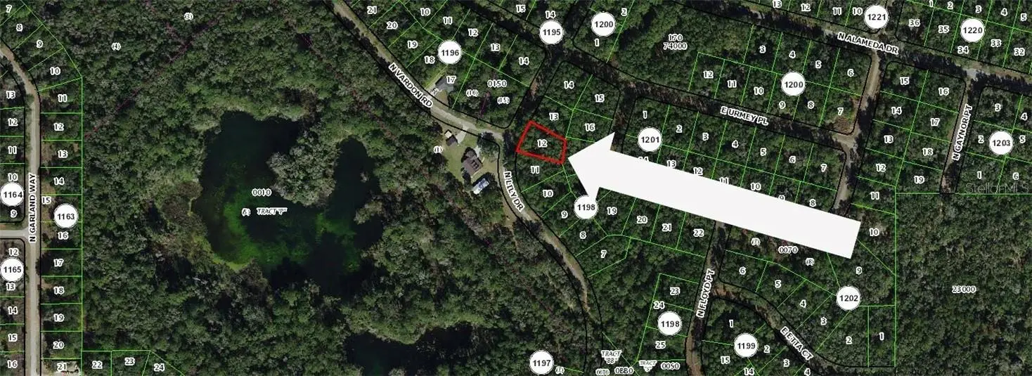 8295 N Lily DR, Citrus Springs, FL 34434