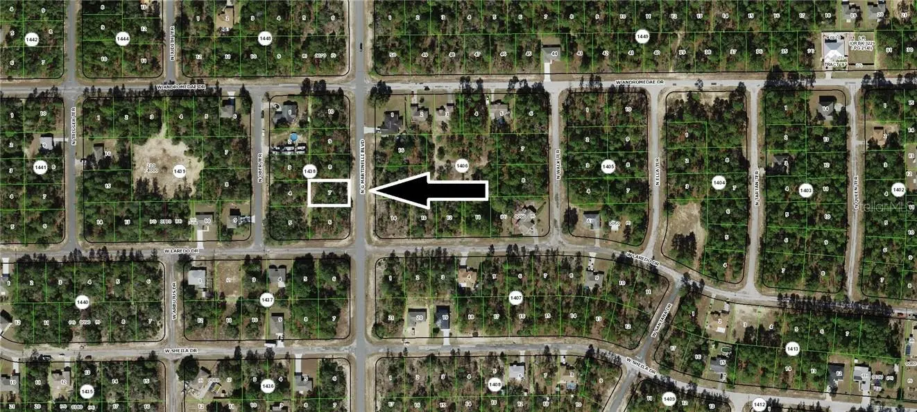 10940 N G Martinelli BLVD, Citrus Springs, FL 34433