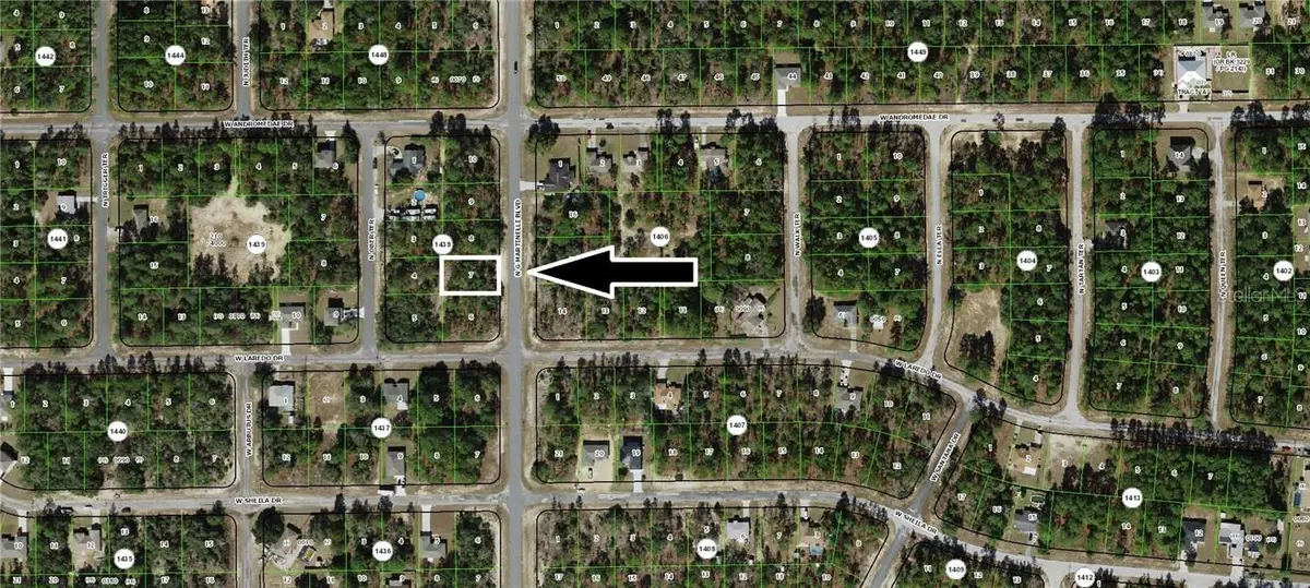 10940 N G Martinelli BLVD, Citrus Springs, FL 34433