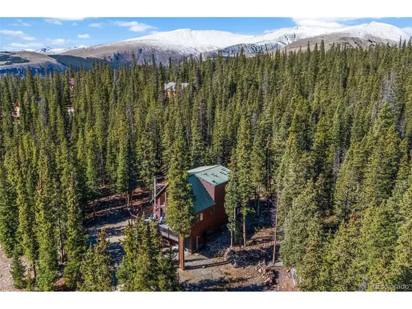 157 Prunes, Fairplay, CO 80440