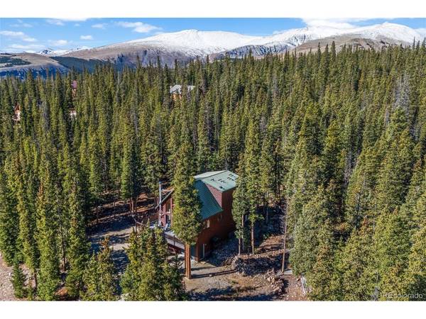 157 Prunes, Fairplay, CO 80440