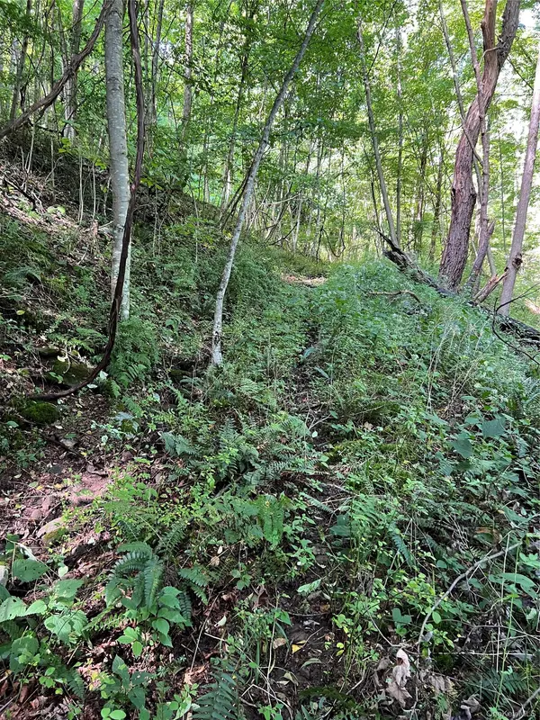00 Gibson RD, Hancock, NY 13783