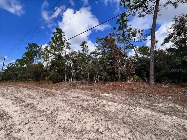 6328 W Pine Ridge BLVD, Beverly Hills, FL 34465
