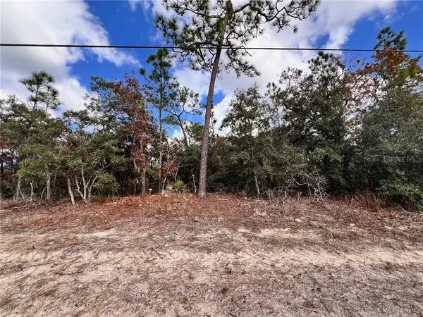 6328 W Pine Ridge BLVD, Beverly Hills, FL 34465