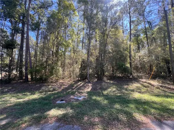 8295 N Lily DR, Citrus Springs, FL 34434