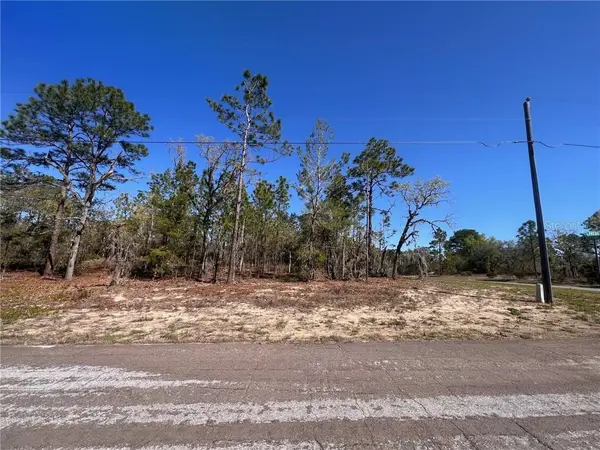 10920 N G Martinelli BLVD, Citrus Springs, FL 34433