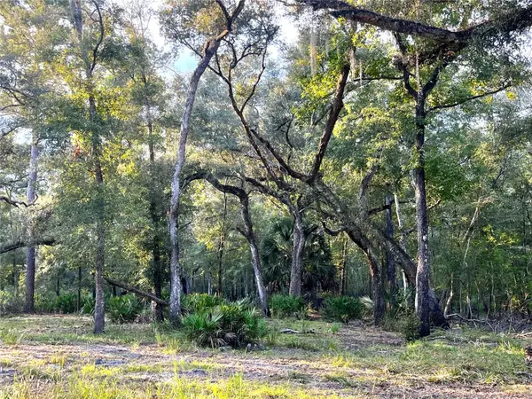 CANAL ST, Fanning Springs, FL 32693