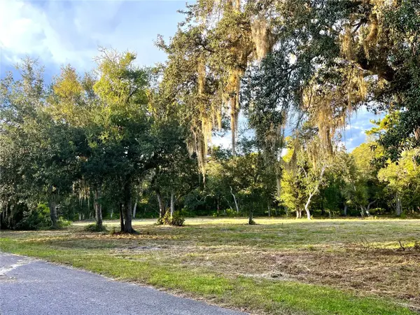 CANAL ST, Fanning Springs, FL 32693